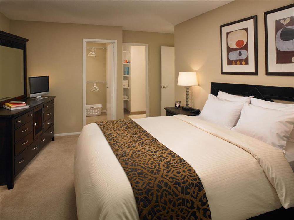 Mainsail Suites Hotel & Conference Center Tampa Szoba fotó
